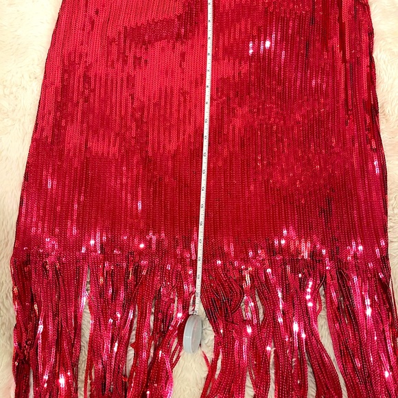 Rachel Zoe hot pink/raspberry “Bra” top and fring skirt. - Picture 9 of 10
